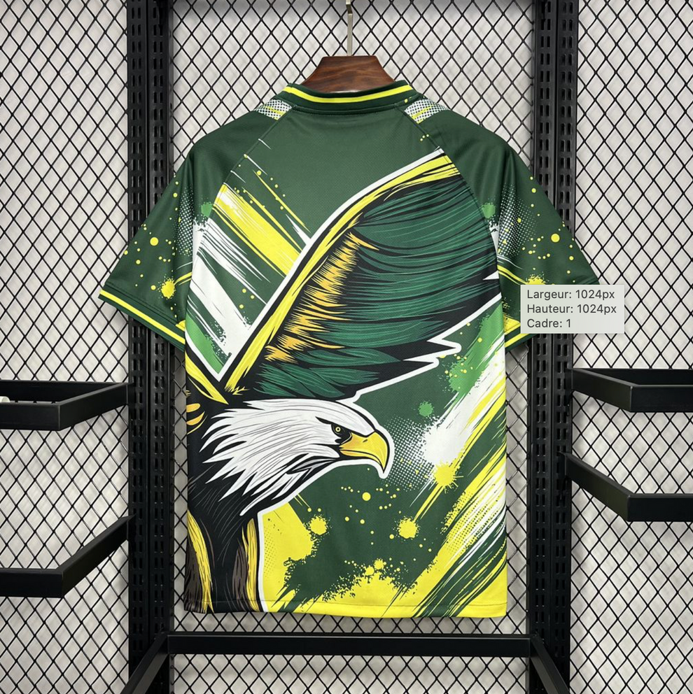 Maillot Brésil Concept
2024/2025 "Eagle"