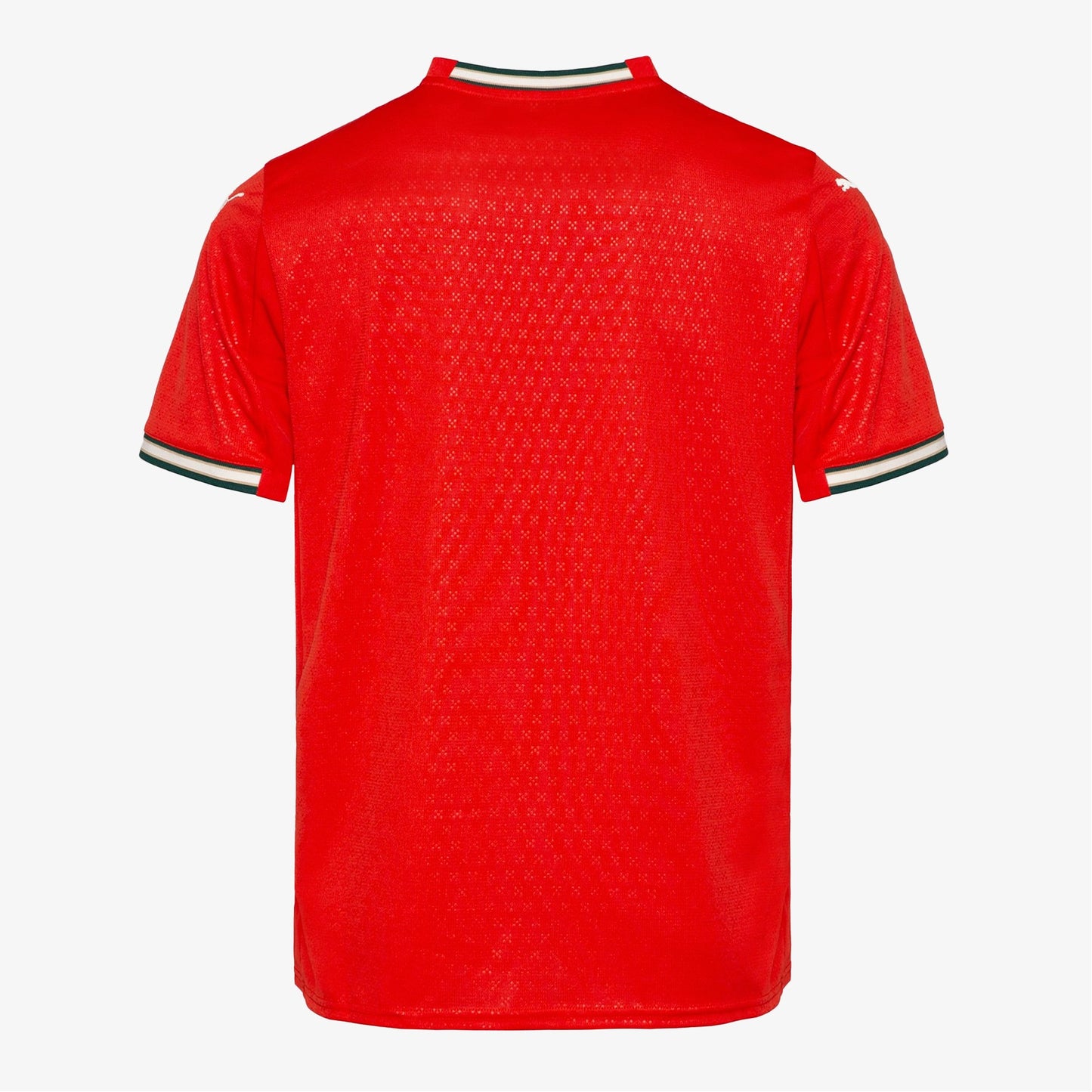 Maillot Portugal FPF 2025 - Domicile