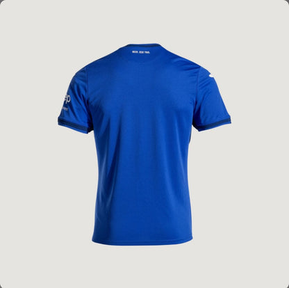 TSG 1899 HOFFENHEIM -
MAILLOT DOMICILE 24-25 -
BLEU