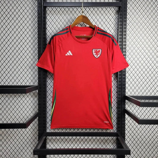 Maillot Pays de Galles Domicile
2024/2025